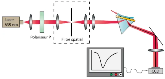 Figure 1-6: Montage expérimental d'un système SPR angulaire. 