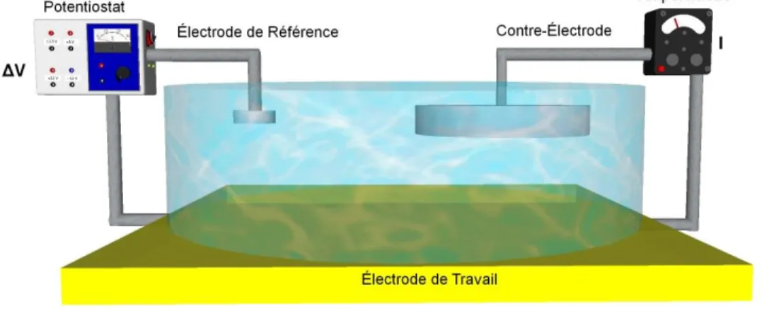 Figure  1-8:  Système  de  mesure  électrochimique  à  3  électrodes;  l'électrode  de  référence  contrôle  le  potentiel et la contre-électrode mesure le courant