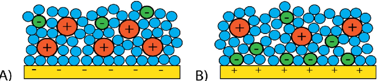 Figure 1-9 : Formation de la double couche capacitive lorsque le potentiel appliqué est : A) négatif et  B) positif
