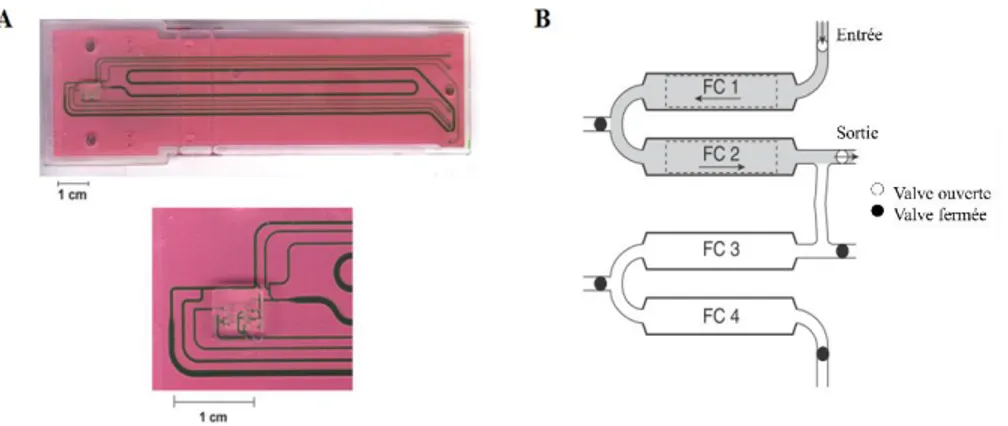 Figure 2-17: Système micro-fluidique du système Biacore TM  . Adapté de Biacore (1998) 