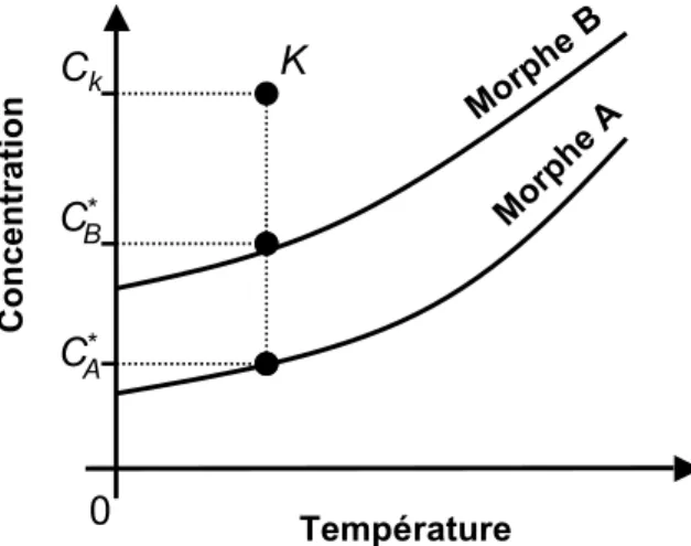 Figure 2.9 – Allure typique des courbes de solubilité d’un système dimorphique monotrope (ou  d’un système dimorphique énantiotrope loin de la température de transition)