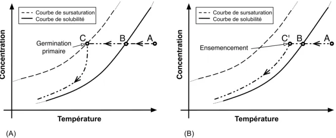 Figure  2.11  Profil  concentration-température  typique  lors  de  la  cristallisation  en  solution  par  refroidissement en mode batch : (A) sans ensemencement ; (B) avec ensemencement