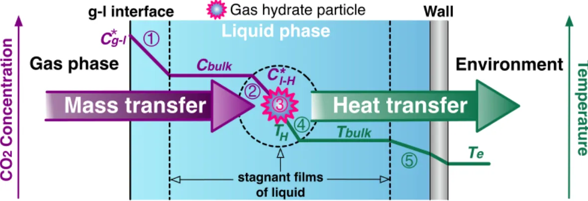 Figure 4.4 – Schematic drawing of the model of the CO 2  hydrate formation process 