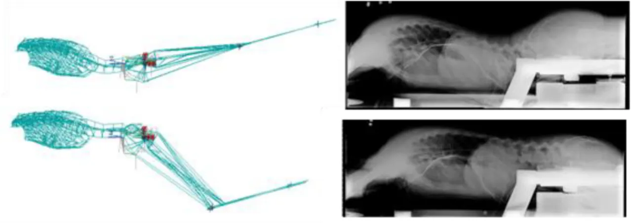 Figure 3.5 (A3F3): Comparison of simulations and experimentally measured results 