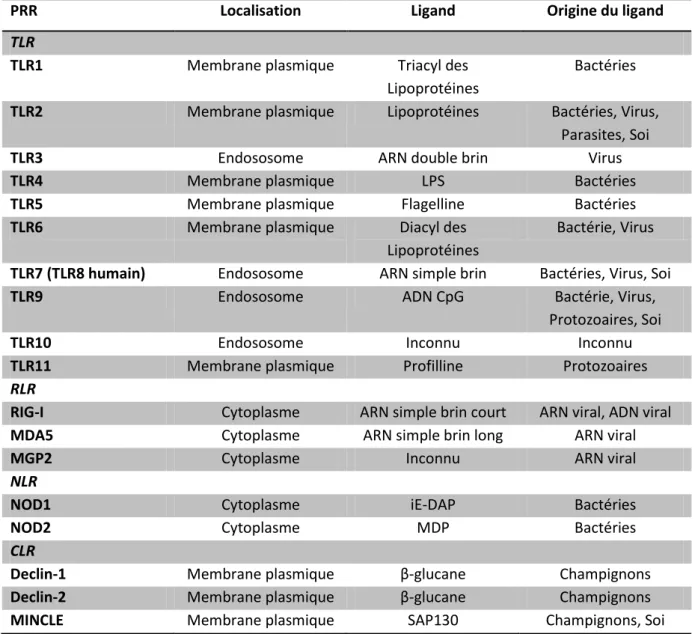Tableau I.2 : Les PRR, leur localisation et ligands (d’après Takeuchi &amp; Akira, 2010) 
