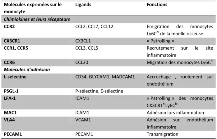 Tableau I.4  :  Principales  molécules  impliquées  dans  le  recrutement  des  monocytes  (d’après  Shi  &amp;  Pamer 2011) 