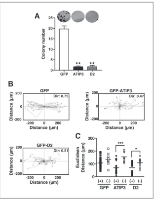 Figure 7. Microtubule-binding domain D2 is the functional domain of