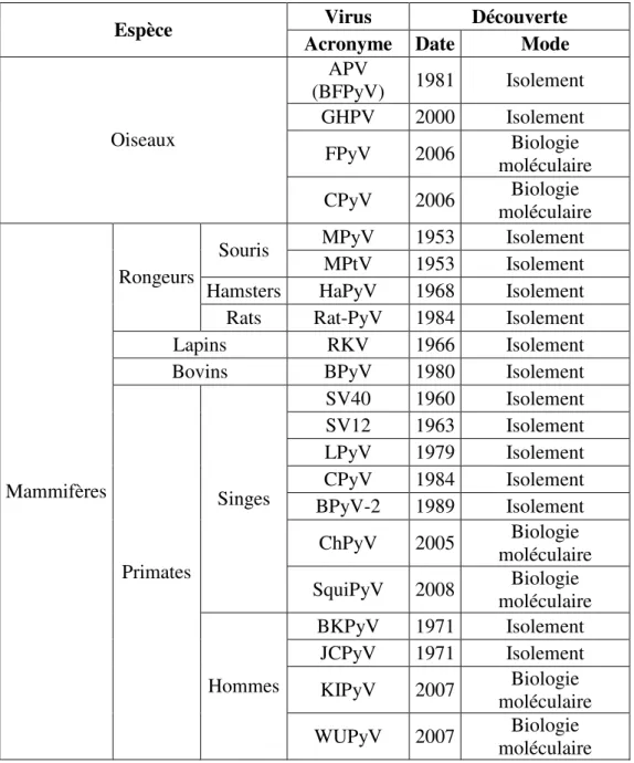 Tableau n° 2 : Liste des Polyomavirus connus en Janvier 2008 