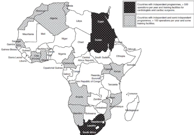 Figure 1.2. Countries with established cardiac surgery programmes in Africa.  29