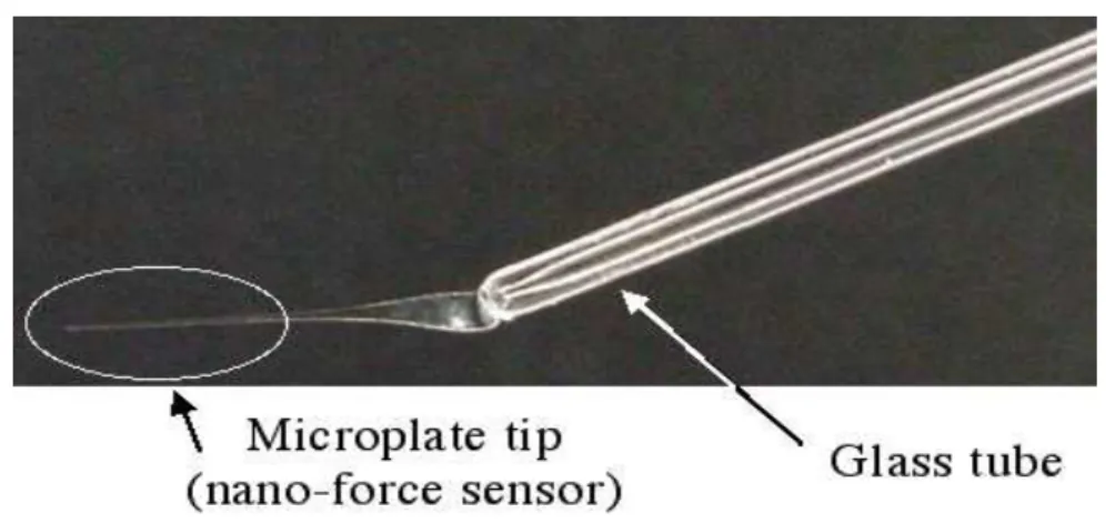 Fig. 1.5  Microplaque : Une lamelle de verre est greée sur un capillaire avec un angle d'environ 20 .