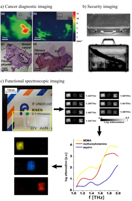 Figure 1.1 Examples of THz imaging applications. a) Medical imaging for the label- label-free detection of cancerous tissue (having a higher water concentration); adapted from [ 16 ]