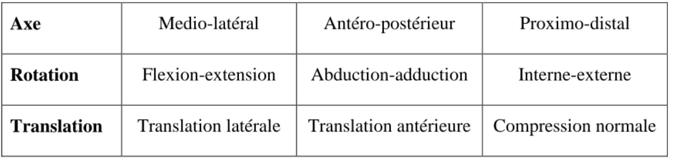 Tableau 2-1 : Rotations et translations relatives aux axes anatomiques 