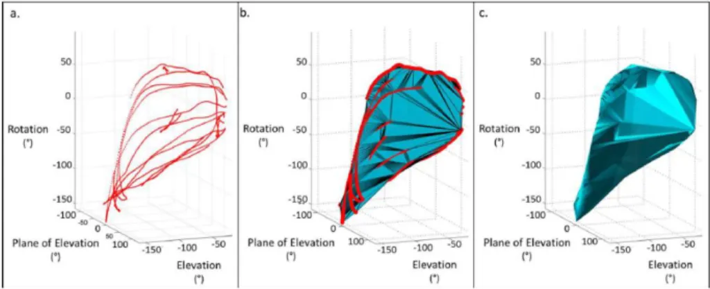 Figure 2-17 : Conception des volumes de l’espace de travail de l’épaule [59] 