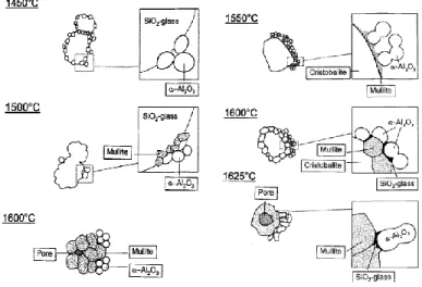 Figure  ‎ 1-3 Mechanism of mullite formation using silica/ cristobalite with alumina [24] 