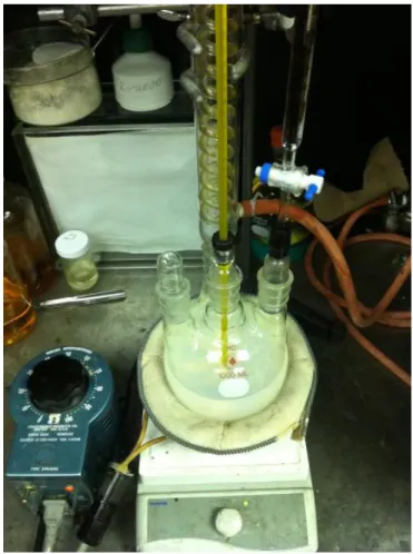 Figure  2-1 Processing set-up for the synthesis of alumina sol 