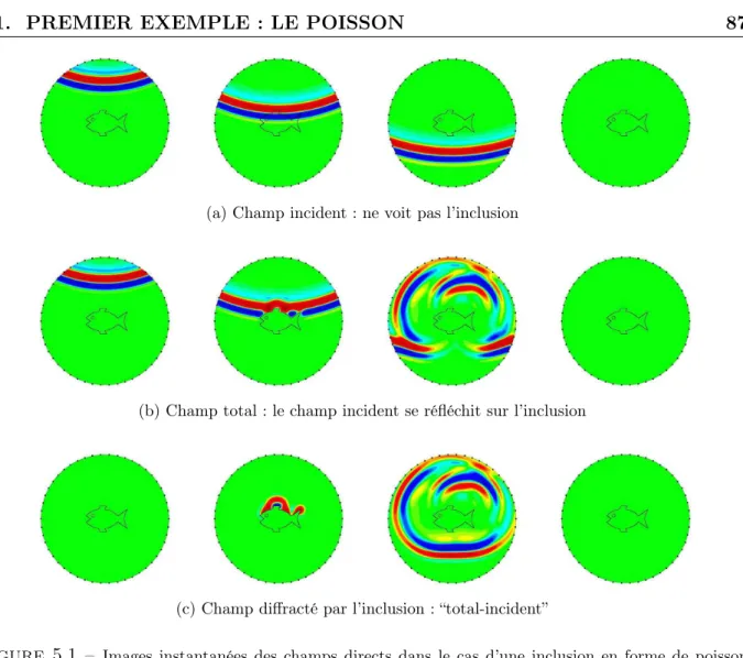 Figure 5.1 – Images instantanées des champs directs dans le cas d’une inclusion en forme de poisson