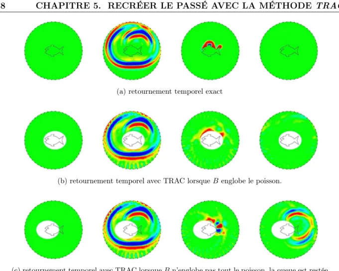 Figure 5.2 – Images instantanées des champs obtenus par retournement temporel. De gauche à droite,