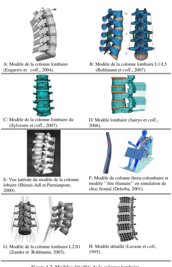 Figure 1.7: Modèles détaillés de la colonne lombaire. 