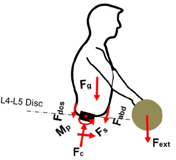 Figure  1.15:  Diagramme  du  corps  libre  dans  le  plan  sagittal  afin  de  développer  l‘équation  d‘équilibre et calculer les forces dans les muscles et les forces spinales lors des taches de levage