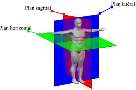 Figure 1.1: Identification des sens des mouvements de la colonne vertébrale par rapport au corps  humain