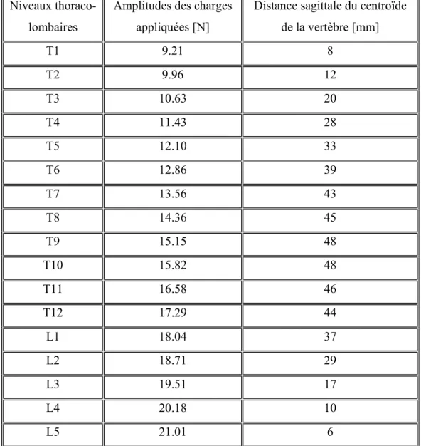 Tableau 2.3: Distribution et localisation des charges de gravité supportées par la colonne  thoracolombaire
