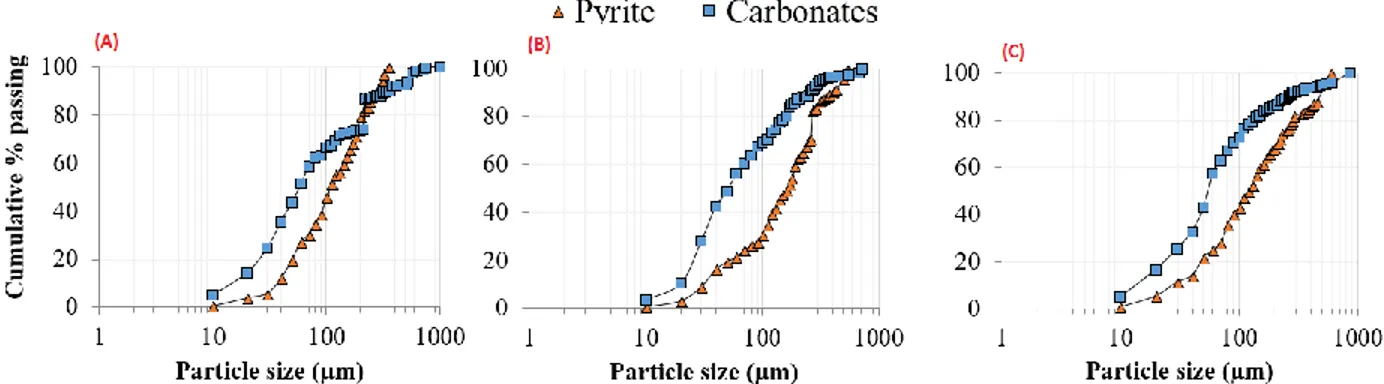 Figure 3.6: Pyrite and carbonate particle-size distributions within the three lithologies (A:  carbonated porphyry, B: altered greywacke, and C: carbonated greywacke)