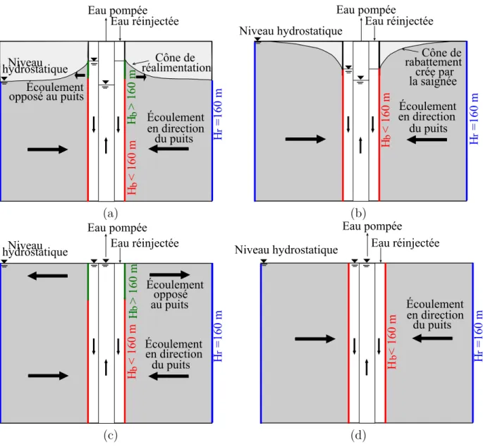 Figure 5.6 Charges hydrauliques et sens de l’écoulement dans le puits et l’aquifère, tels qu’observés en réalité (a et b) et tels que simulés (c et d), sans saignée (colonne de gauche) et avec saignée (colonne de droite).