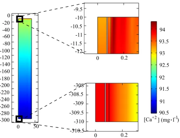Figure 3.6 Illustration de la concentration en calcium ([Ca 2+ ]) sur l’ensemble du domaine