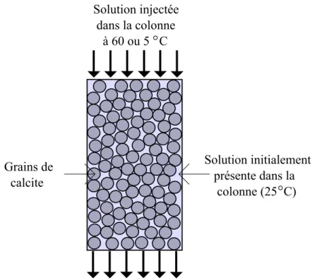 Figure 4.1 Schématisation du modèle en colonne utilisé pour la validation de la méthodologie.