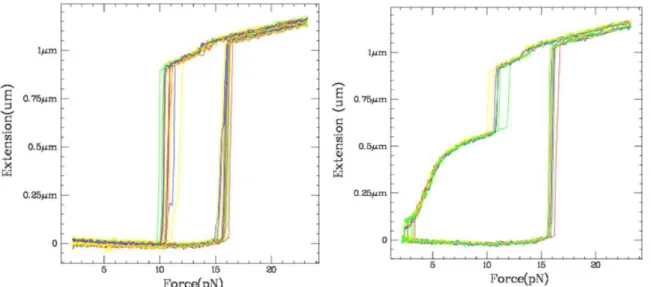 Fig.   V.5:  The  hairpin  extension  curves  before  and  after  the  G4  folding.  Multiple 