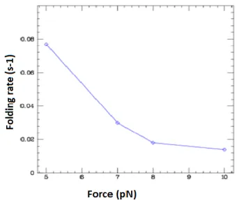 Fig.  V.7: C-MYC (14, 23) G4 folding rates. The folding rate is plotted as a function of 
