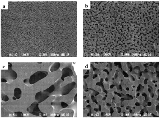 Figure 1.12 : Images MEB d’un mélange co-continu polystyrène/polyéthylène (50/50) : (a) sans  recuit, (b) recuit à 180°C pendant 10 min, (c) recuit à 200°C pendant 30 min, at (d) recuit à 