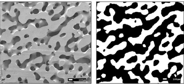 Figure 1.18 : a) Image MEB d’un PLA poreux  et b) sa binarisation associée pour l’analyse  d’image (A-L