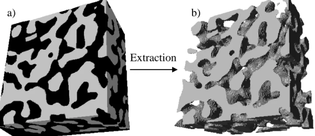 Figure 1.19 : Exemple d’extraction d’une phase polymère pour un mélange binaire d’un  polymère A (en noir) et d’un polymère B (en gris) : a) structure D du mélange et b) structure 