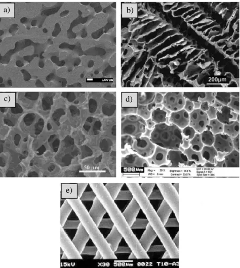Figure 1.20 : Images MEB de polymères poreux réalisées par différentes méthodes : a) extraction  d’un des polymères dans un mélange co-continu binaire (barre blanche  à 100 µm) ; b)  « 
