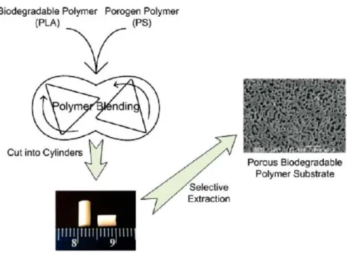 Figure 1.22 : Schéma et image MEB de la réalisation du mélange PS/PLA et de la structure  poreuse PLA obtenue respectivement (Xiang, et al., 2009)