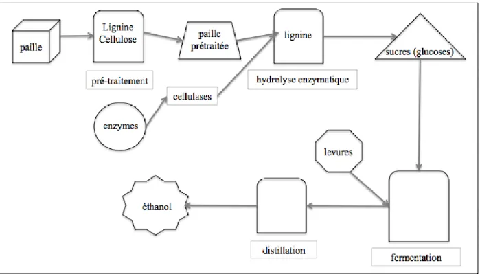Figure 1-1: Les étapes de production d'éthanol cellulosique (adapté de IFP, 2008) 
