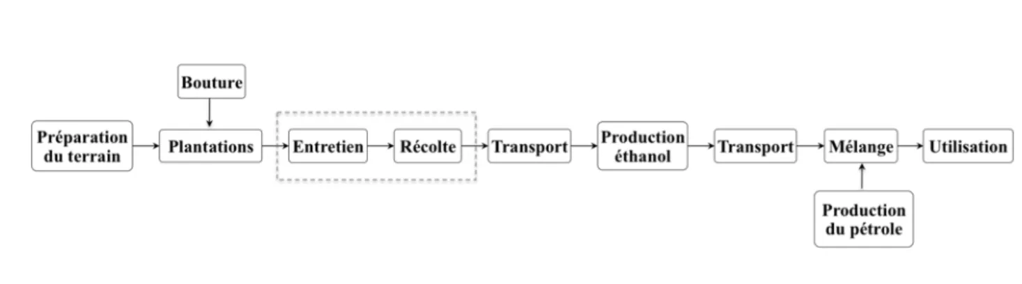Figure 2-1 : Arbre du système de produits E85 saule 