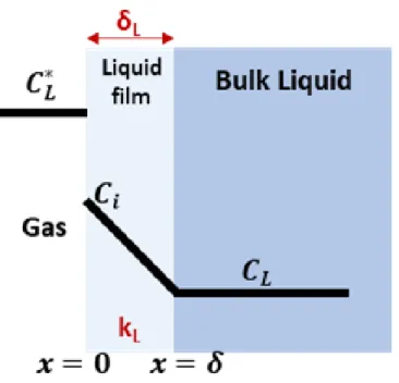 Figure 2.7- Schematic of two film theory. “Mass transfer results from molecular diffusion via the  film”