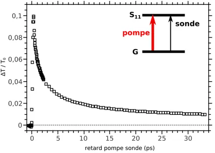 Figure 3.15 – Dynamique de relaxation de la transmission pour pompe et sonde en résonance avec S 11 à 1,26 eV.