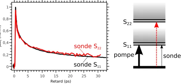 Figure 4.1 – Dynamique de relaxation de l’absorption transitoire normalisée à 1,252 eV (S 11 , ligne noire) et 2,156 eV (S 22 , ligne rouge) pour une pompe centrée à 1,26 eV (S 11 ) d’intensité 2, 0.10 13 photons.cm −2 .