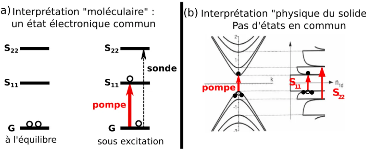 Figure 4.2 – (a) Schéma représentant le blanchiment de la transition S 22 d’après l’inter-