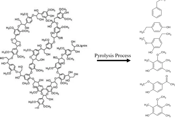 Figure 1-3: Pyrolysis of a lignin network and produced fragments in the liquid phase 