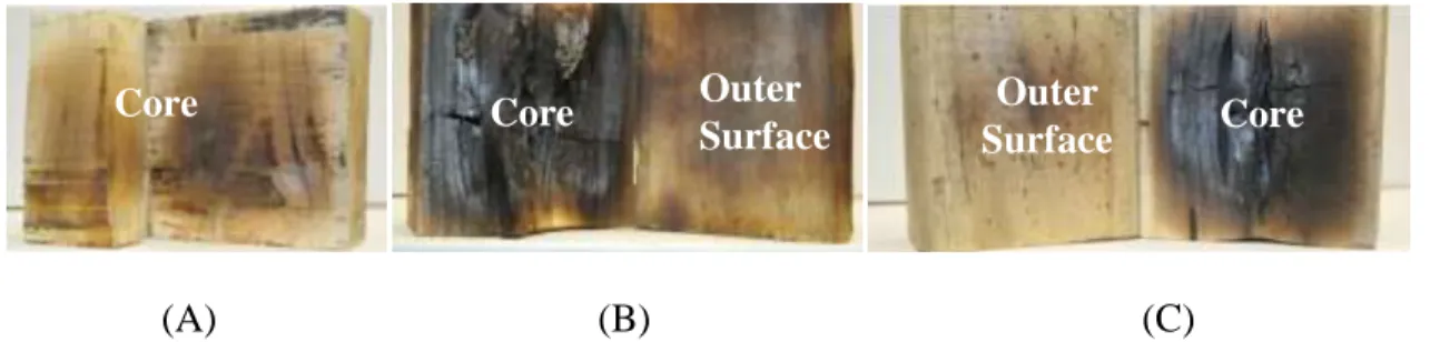 Figure 3-1: Wood blocks heated by 2.45 GHz microwaves for 360 s at: (A) 2.3 kW with FC, (B)  2.3 kW with PI, and (C) Power 2.7 kW with FC 