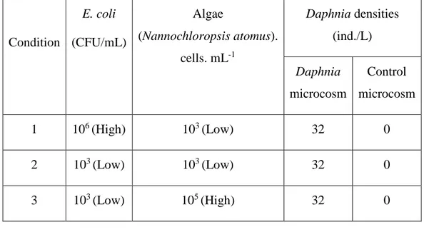 Table 3. 1: The concentration of E. coli and algae spike with the Daphnia. Condition  E