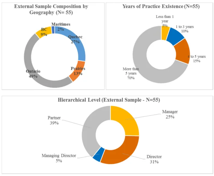 Figure 4-8 below details the external sample composition by geography, years of practice existence, and hierarchical level.