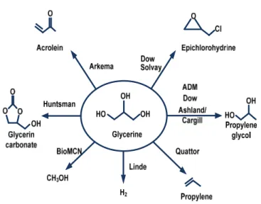 Figure 0-1-1: Conversion possible de la glycérine pure par différentes compagnies  