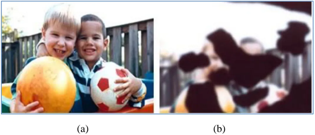 Figure 2.5:  Effect of diabetic retinopathy in human vision: 