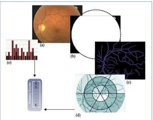 Figure 3.4: Feature vector composition reported by Giancardo et al.[38], (a) Original Image, (b)  Mask detected and fitted ellipse (dashed line), (c) Vessel Segmentation, (d) Local window in 