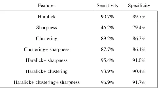 Table 3. 5: Performance of Paulus et al. method using different features [29] 